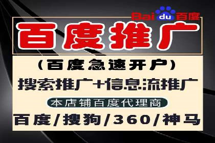 高效SEM托管公司案例对比分析